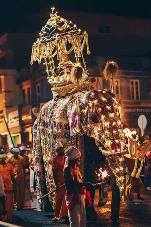 Kandy Esala Perahera