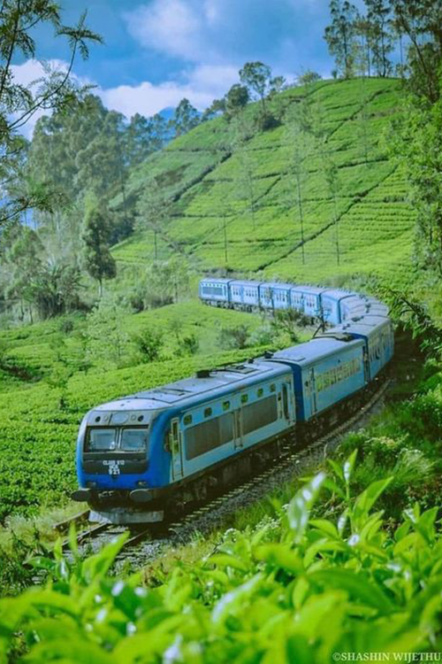Scenic Train Ride