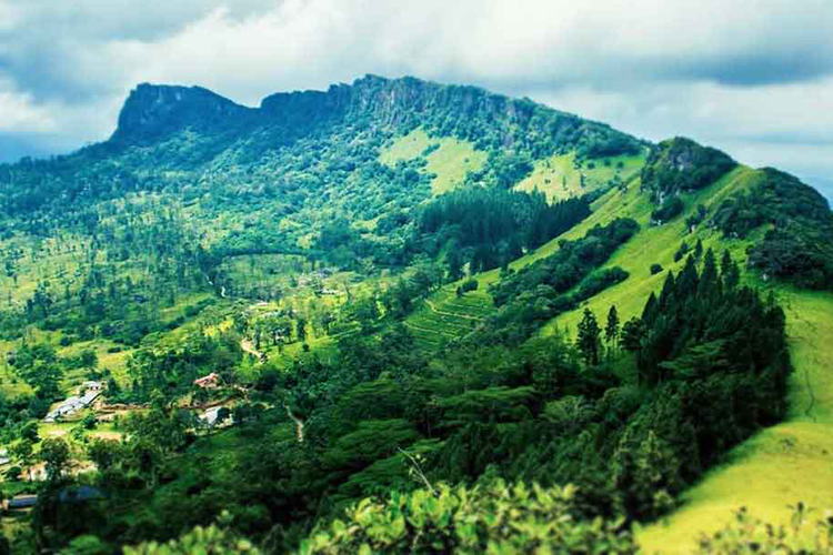 Hanthana Mountain Range