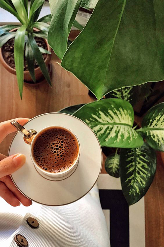 coffee